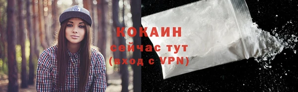 гашик Липки