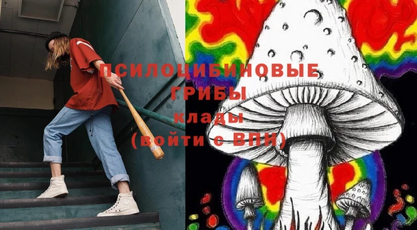 ГАЛЛЮЦИНОГЕННЫЕ ГРИБЫ Лиски