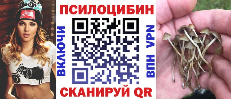 Галлюциногенные грибы Psilocybine cubensis  Чаплыгин 