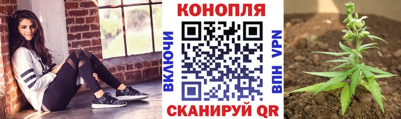МАРИХУАНА конопля  даркнет сайт  Чаплыгин 